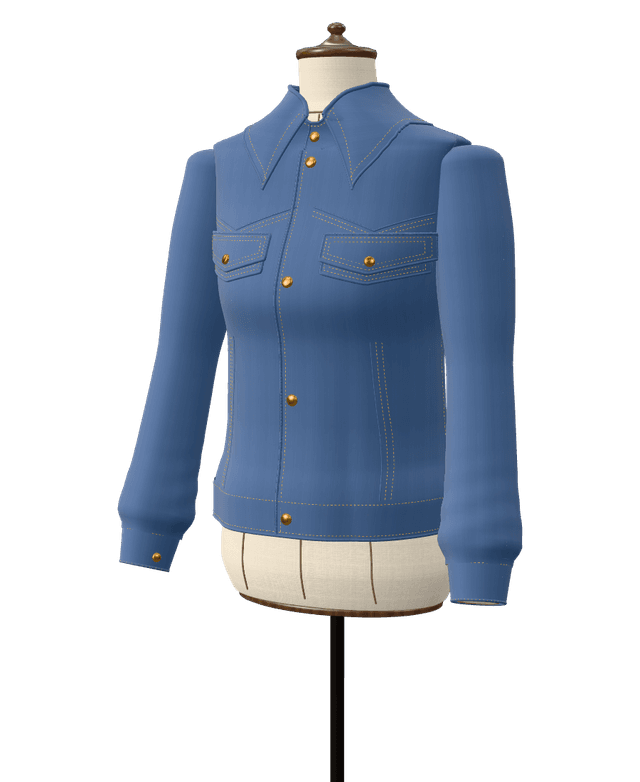 Trucker jacket